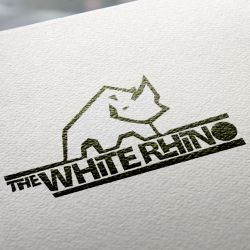 Logo Design & Branding example 9