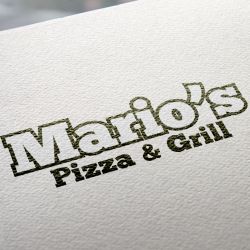 Logo Design & Branding example 10
